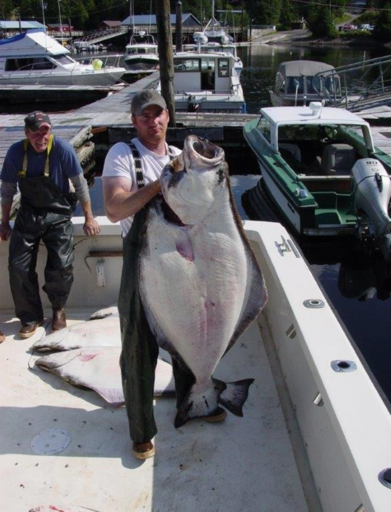 Alaskan Fishing Excursion