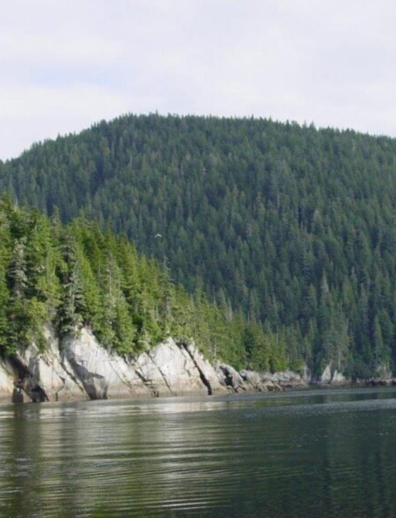 Alaskan Lake & Forest