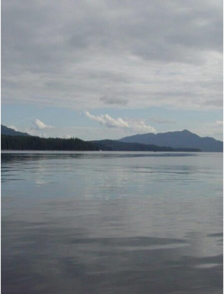 Kayaking Adventure